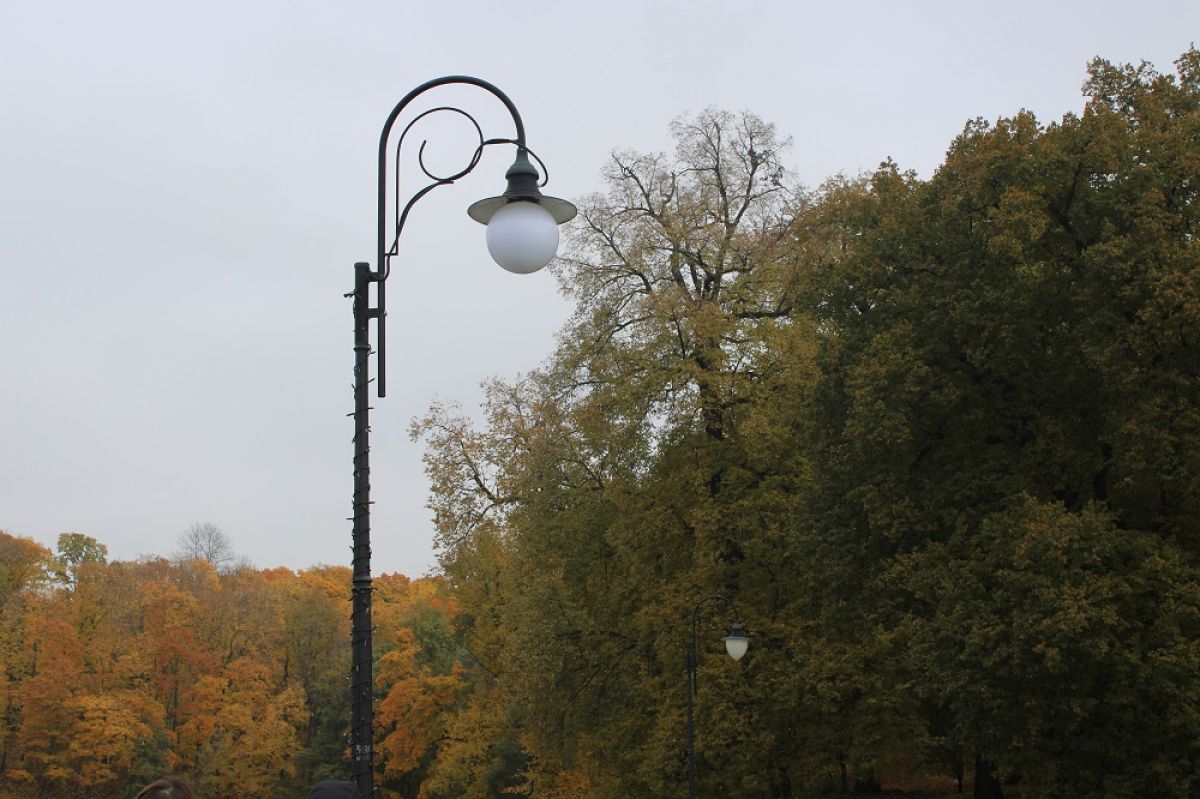 Что готовит богородчанам «Ночь искусств» Что готовит богородчанам «Ночь искусств»