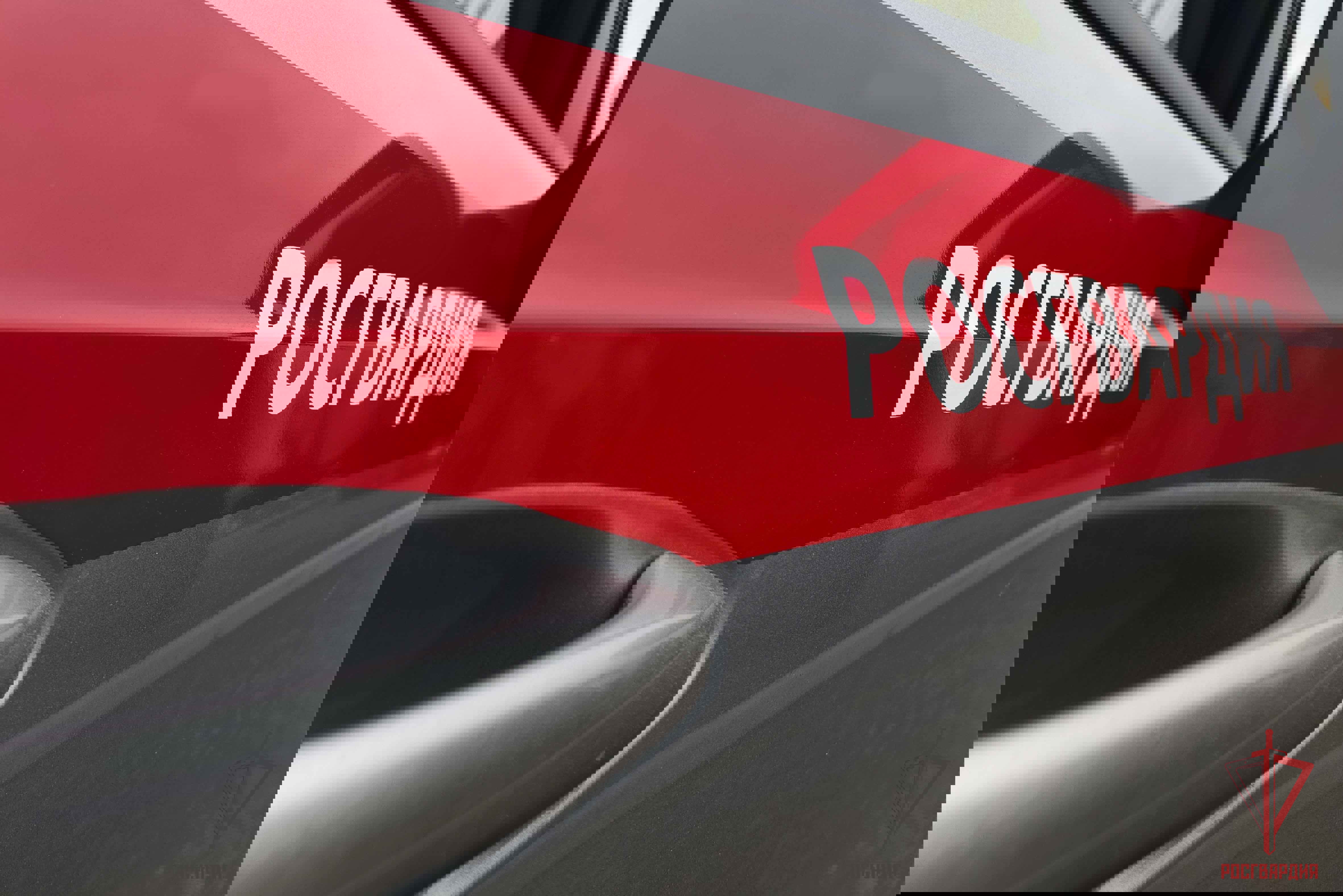 Тульские росгвардейцы задержали дебошира