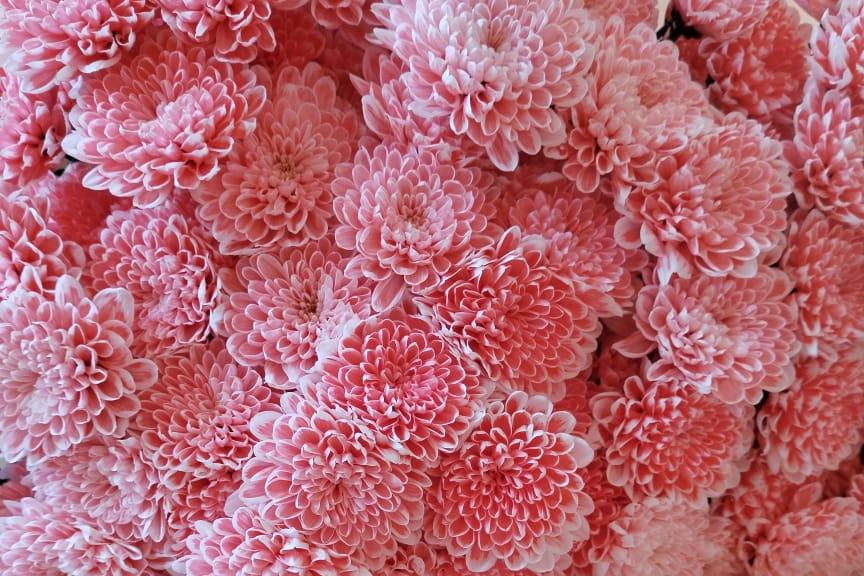 Дмитрий Миляев: Поздравляю с заслуженной наградой! Дмитрий Миляев: Поздравляю с заслуженной наградой!