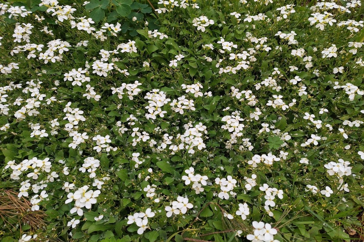 Завтра в Донском осадков не ожидается Завтра в Донском осадков не ожидается