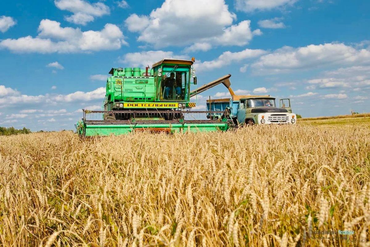В Тульской области идет уборка урожая В Тульской области идет уборка урожая