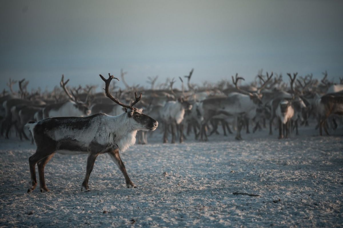 Вместе в цифровое будущее: стартует юбилейный конкурс «Ростелекома» для региональных ИТ-журналистов и блогеров Вместе в цифровое будущее: стартует юбилейный конкурс «Ростелекома» для региональных ИТ-журналистов и блогеров