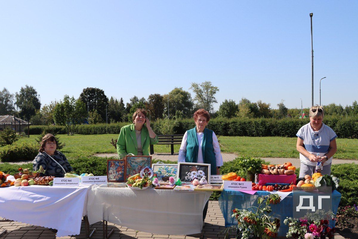 В парке Юбилейном открылась выставка микрорайонов Донского В парке Юбилейном открылась выставка микрорайонов Донского