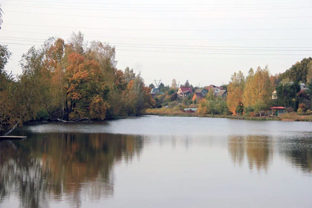 За что могут отобрать земельный участок? За что могут отобрать земельный участок?