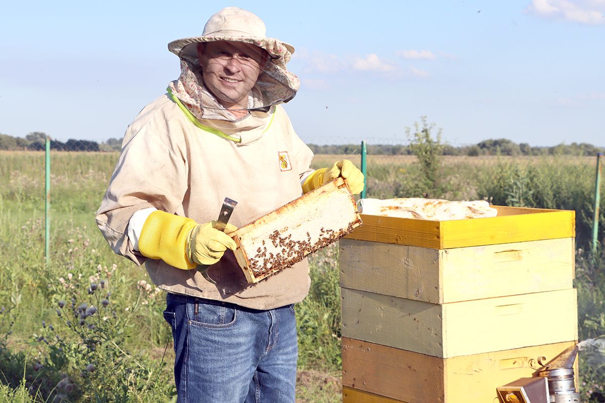 Без труда мёда не едят Без труда мёда не едят