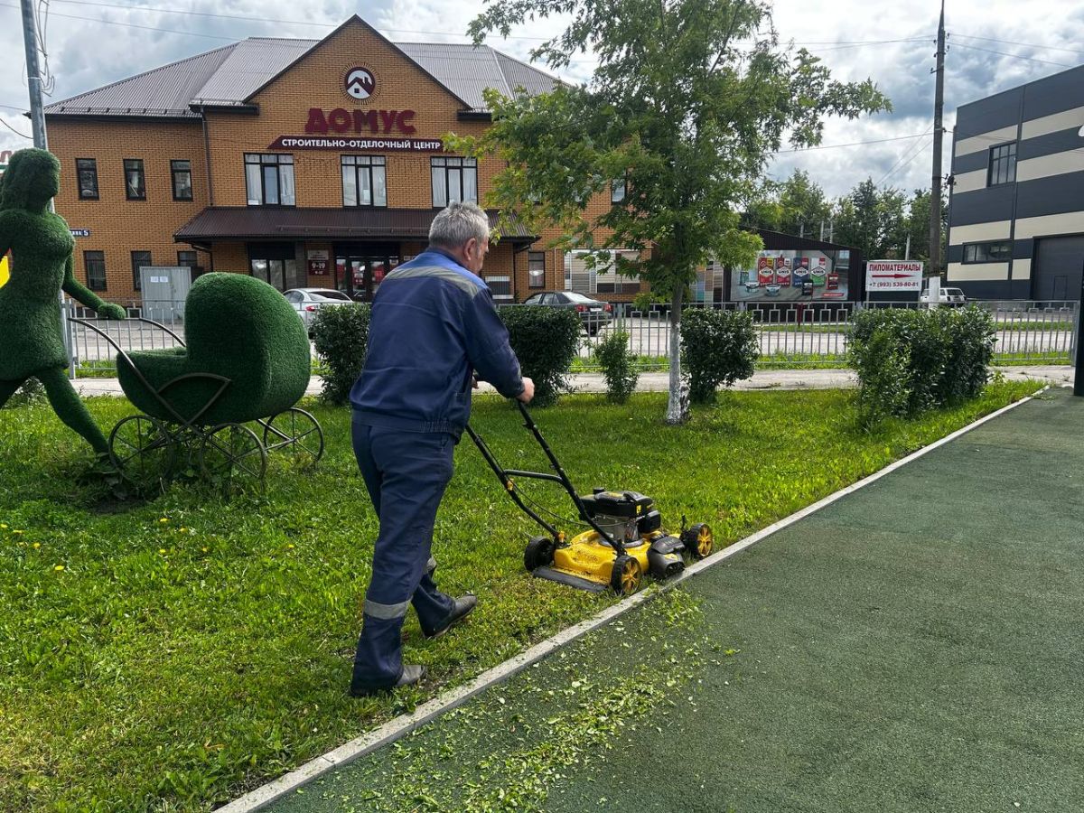 В Донском стартовал сезонный окос травы В Донском стартовал сезонный окос травы