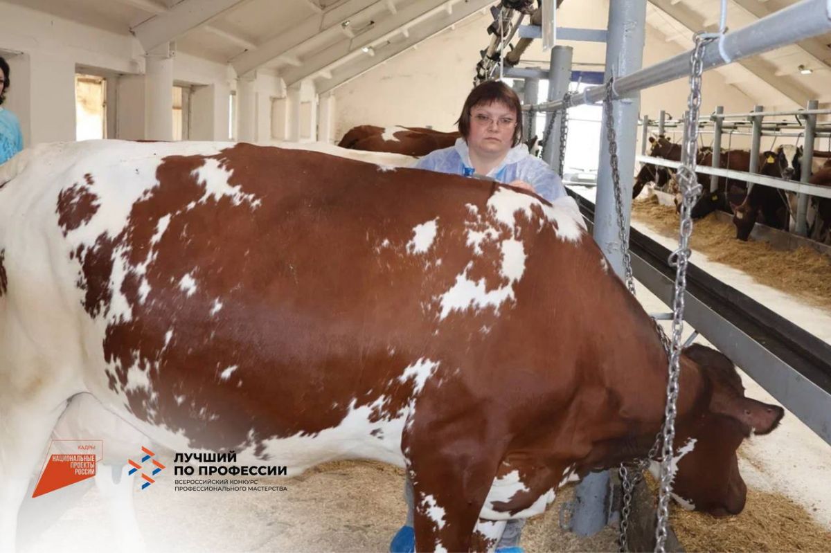 В АО «Заря» прошел региональный этап Всероссийского конкурса «Лучший по профессии» в номинации «Зоотехник» В АО «Заря» прошел региональный этап Всероссийского конкурса «Лучший по профессии» в номинации «Зоотехник»