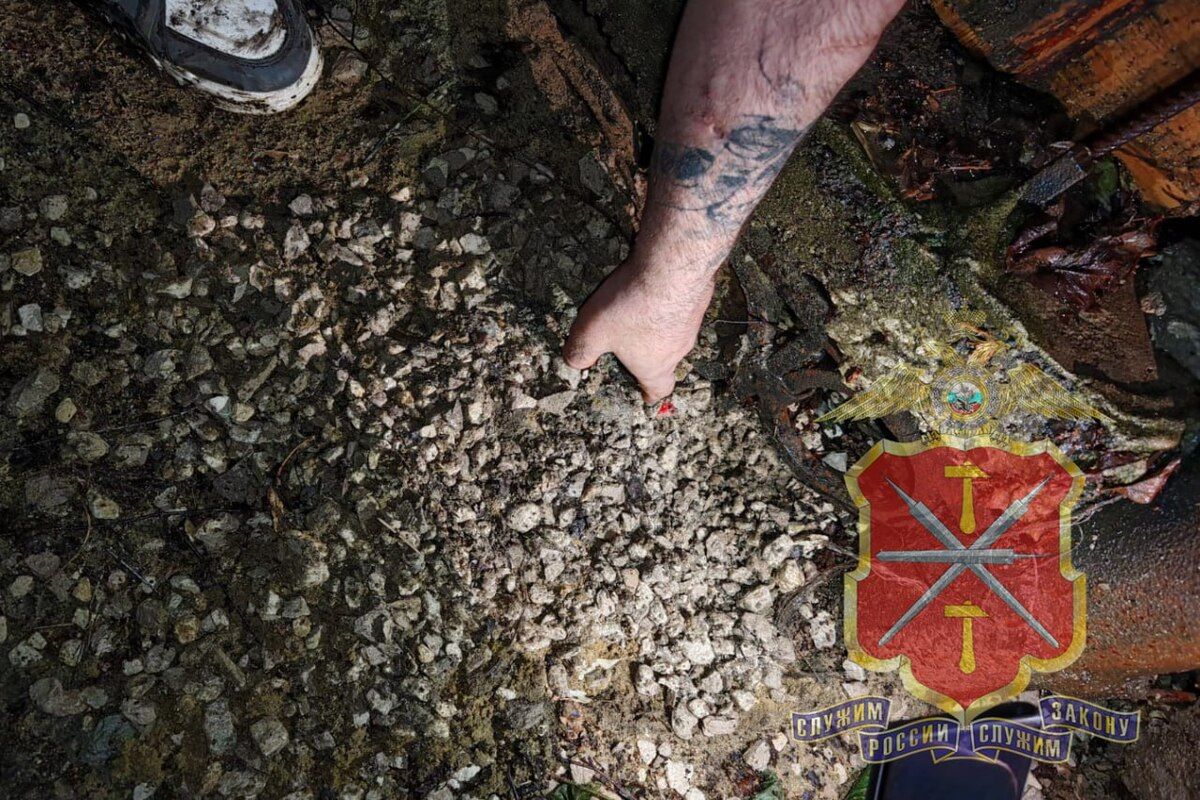 В Донском задержан сбытчик наркотиков В Донском задержан сбытчик наркотиков