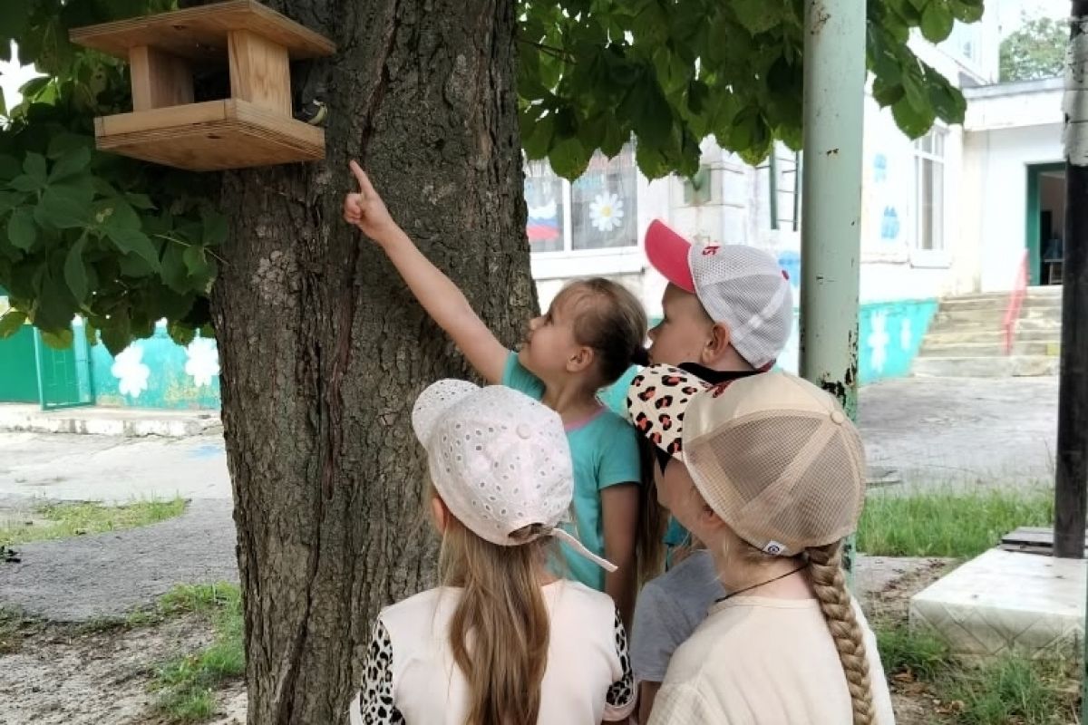 Юные дончане приняли участие в спасении птенца Юные дончане приняли участие в спасении птенца