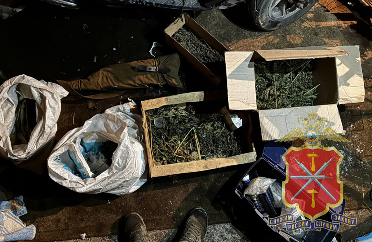В Донском задержан подозреваемый в незаконном хранении марихуаны в крупном размере