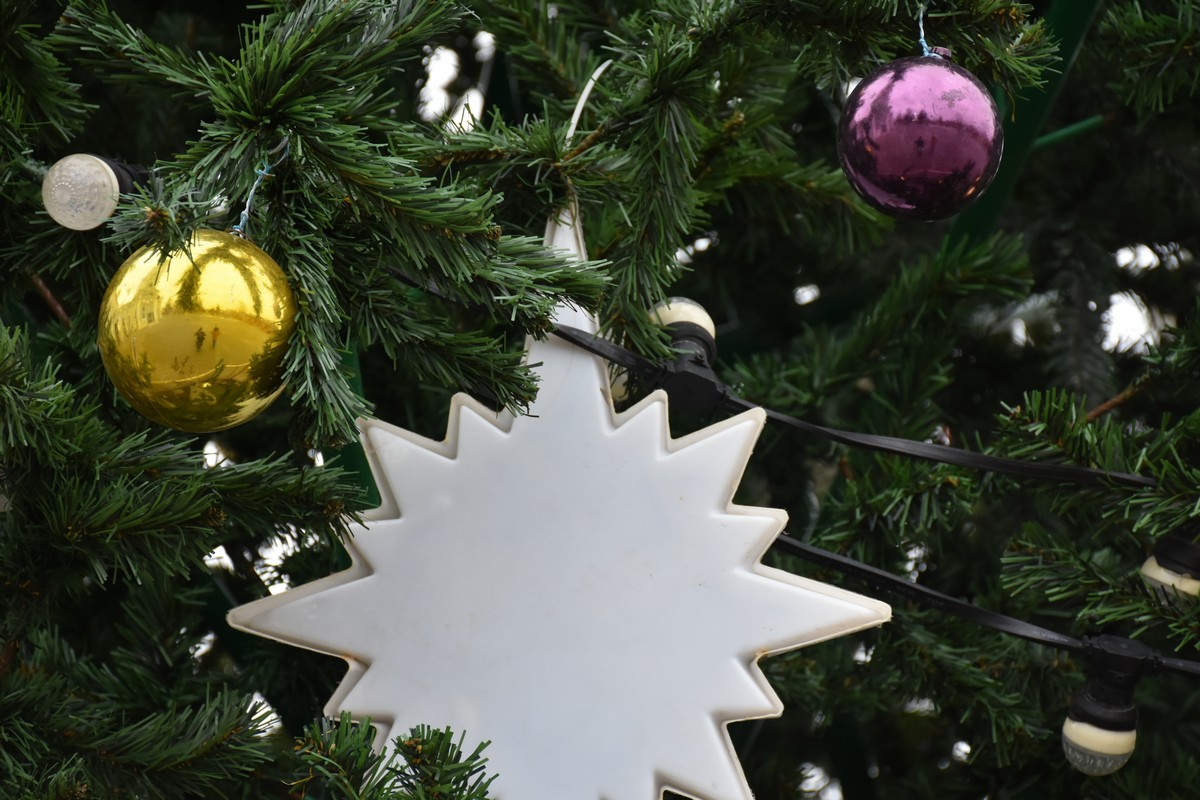 Донская молодежь отпразднует Рождество в центре «Вектор»