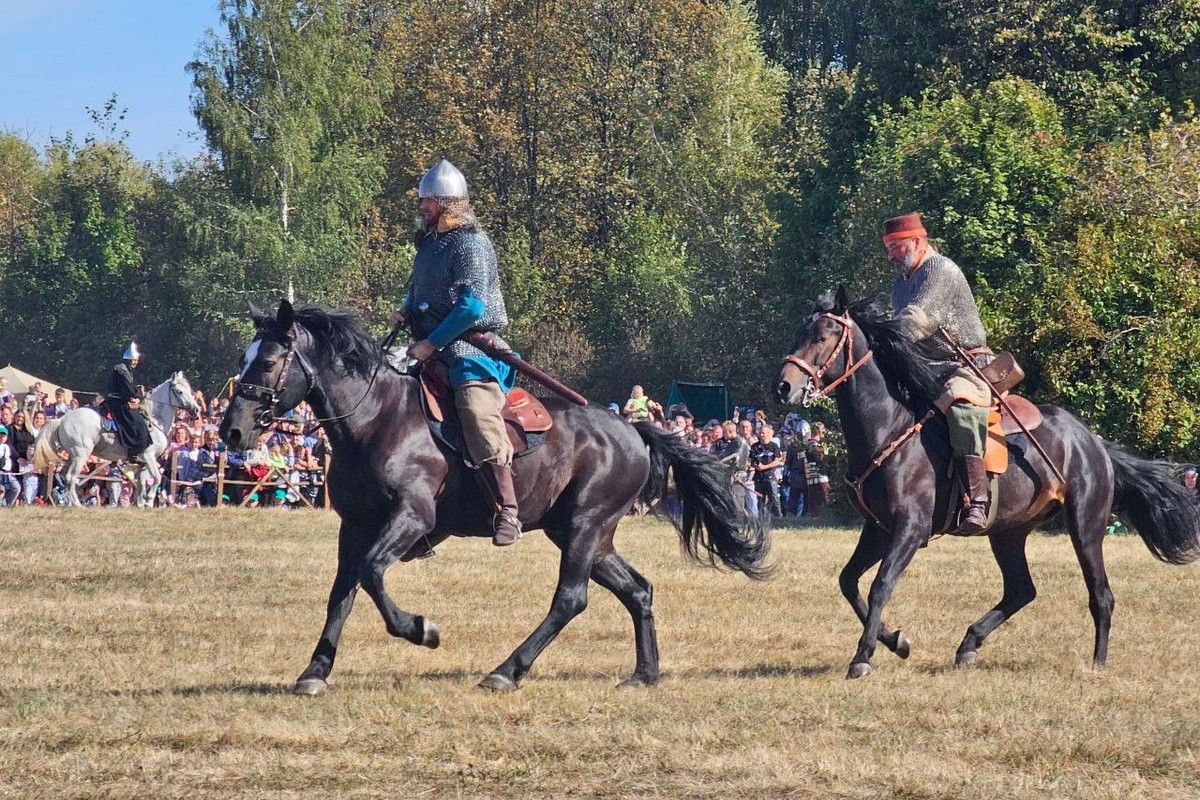645 лет назад в Москву доставили «поломянную весть» о приближении Мамаевой орды 645 лет назад в Москву доставили «поломянную весть» о приближении Мамаевой орды