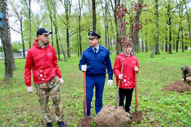 Прокурор Суворовского района Денис Трифанов принял участие во Всероссийской акции «Сад памяти»