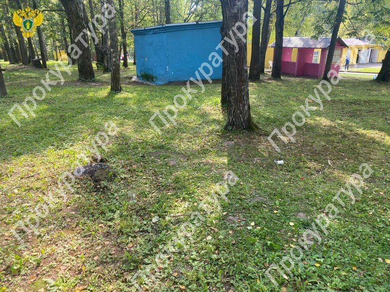 В региональной прокуратуре проверяют детский оздоровительный лагерь после инцидента В региональной прокуратуре проверяют детский оздоровительный лагерь после инцидента