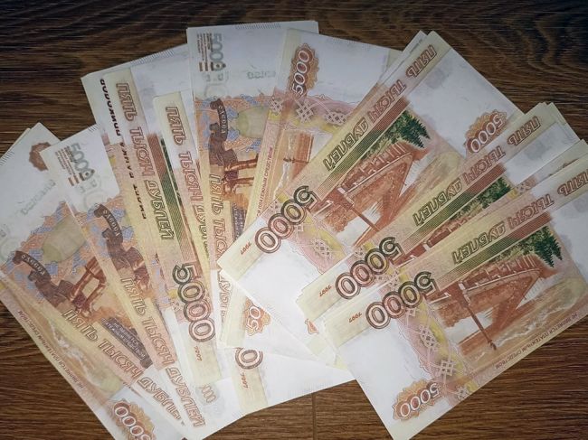 За сутки у жителей Тульской области украли 4 миллиона рублей