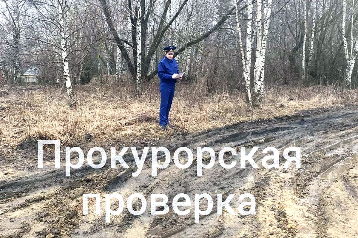 Права жителей переулка Терриконный г. Богородицка будут восстановлены Права жителей переулка Терриконный г. Богородицка будут восстановлены
