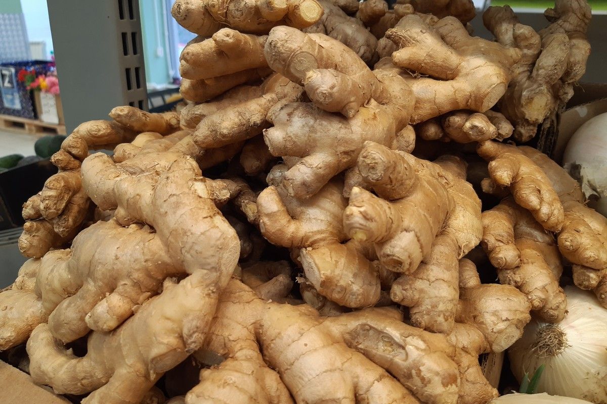 Топинамбур похож на имбирь и не менее полезен
