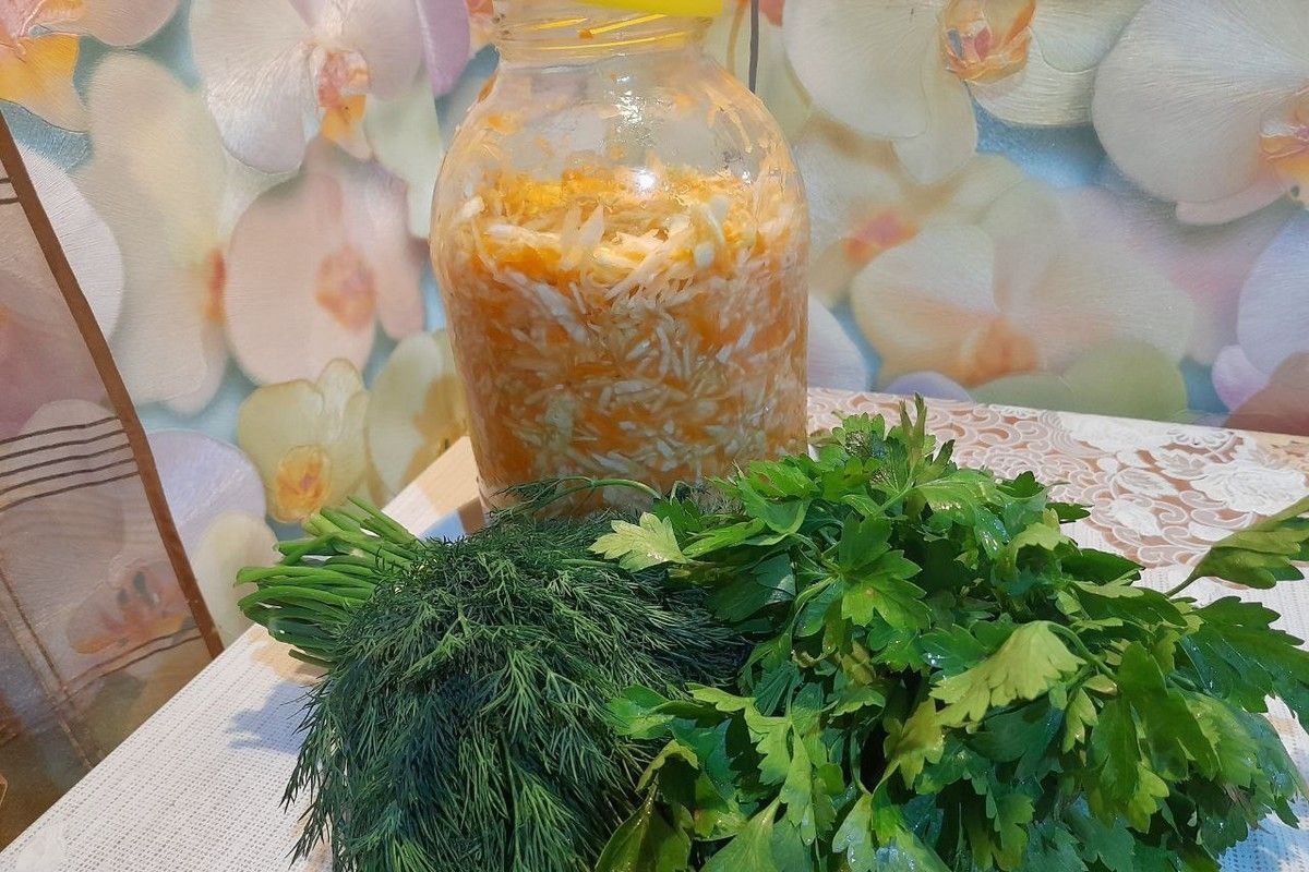 Квашеная капуста: польза для здоровья Квашеная капуста: польза для здоровья