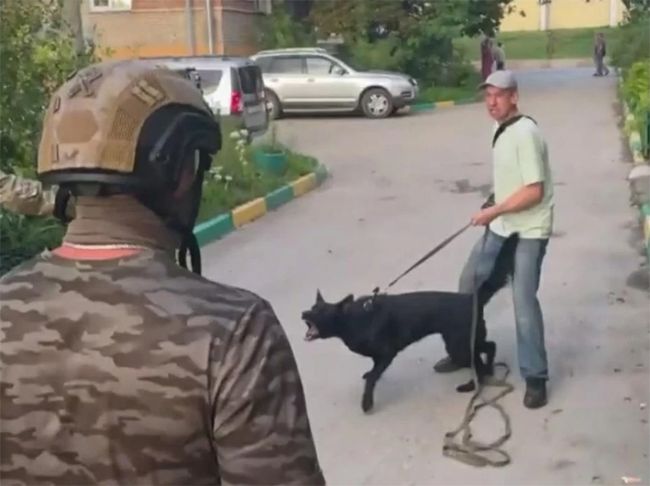 В Туле при задержании наркодилер спустил с поводка свою собаку
