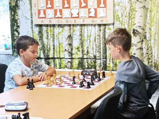 В Донском завершился шахматный блиц-турнир, посвященный Дню физкультурника