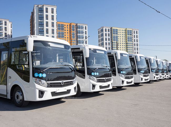 На дорогах Донского появятся новые автобусы