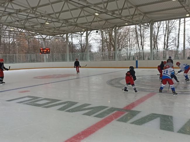 На последних минутах матча донские хоккеисты проиграли новомосковцам