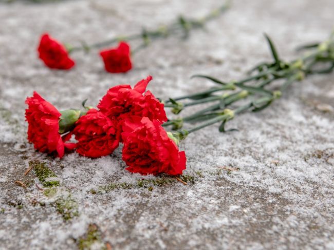 В Донском увековечат память троих земляков, погибших во время исполнения воинского долга В Донском увековечат память троих земляков, погибших во время исполнения воинского долга