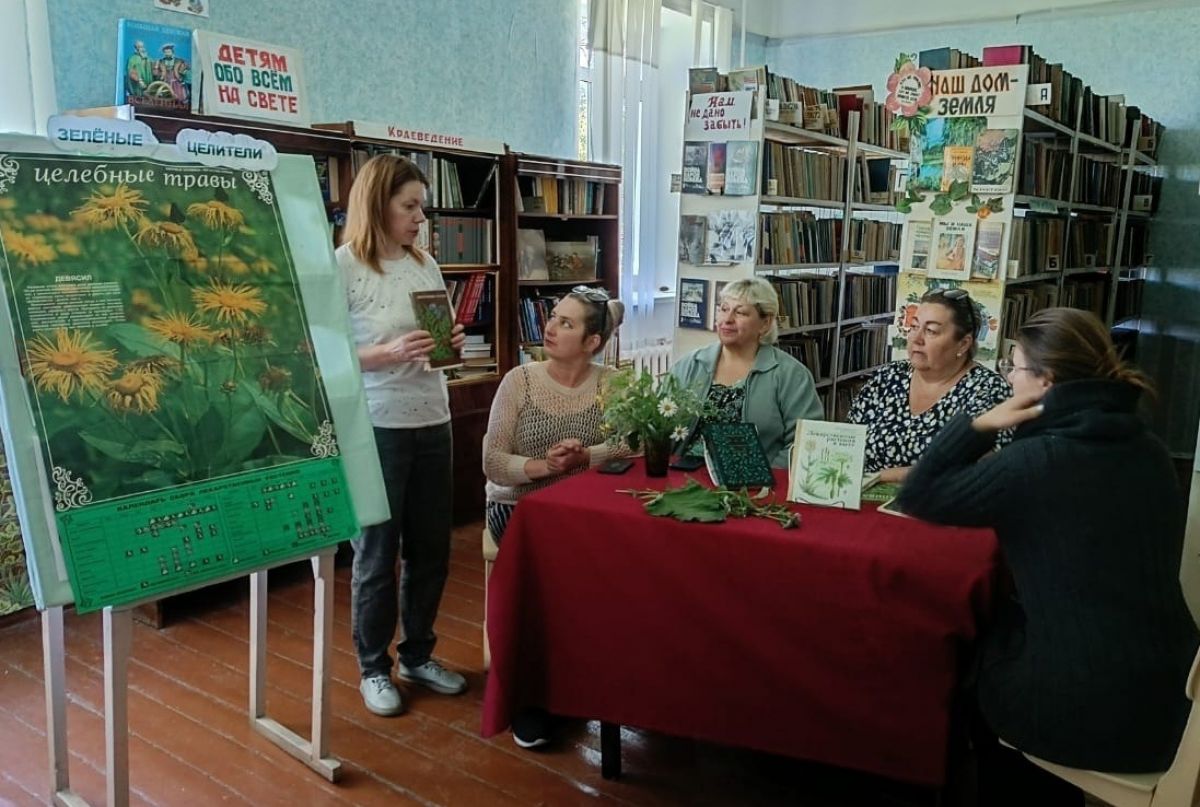 «Тульское долголетие»: в библиотеке мкр. Комсомольского прошла беседа «Зеленые целители»