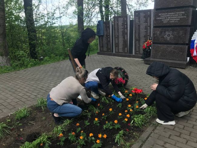 На братской могиле в мкр. Комсомольском высадили цветы