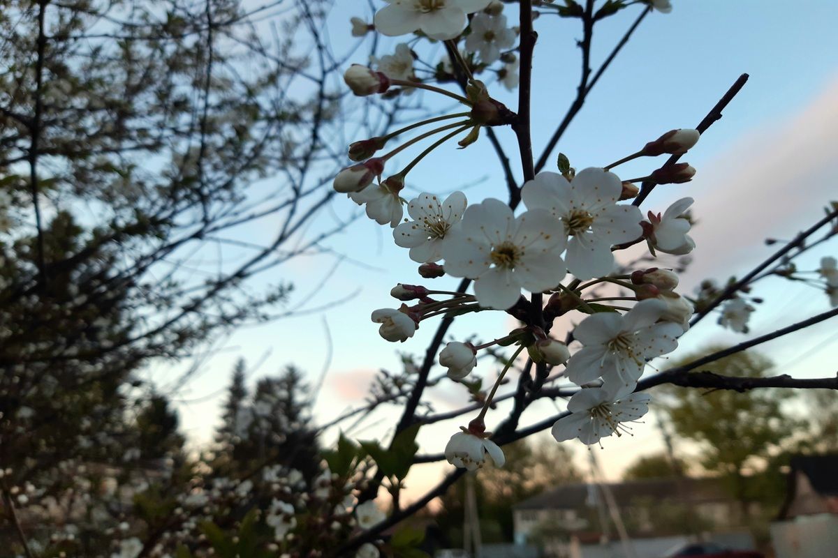 Завтра в Донском осадков не ожидается Завтра в Донском осадков не ожидается