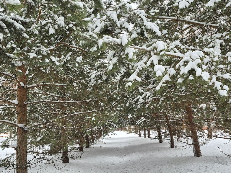 Завтра в Донском осадков не ожидается Завтра в Донском осадков не ожидается
