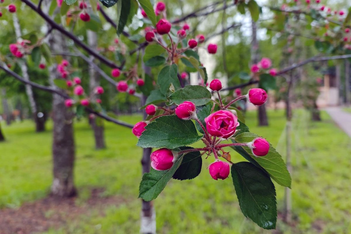 Завтра дончанам может понадобиться зонт Завтра дончанам может понадобиться зонт