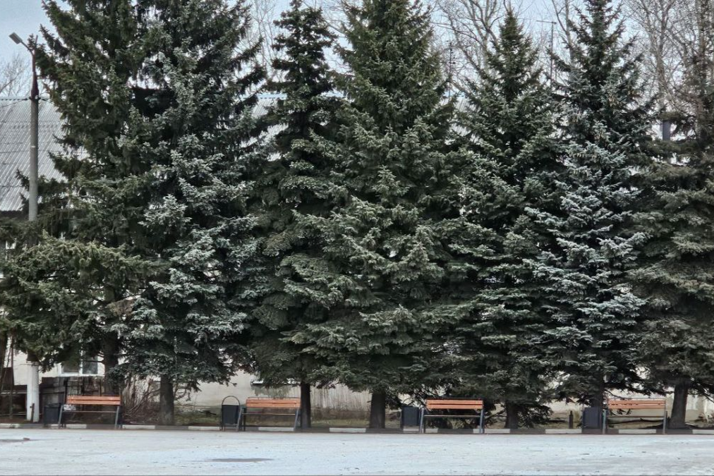 Завтра в Донском осадков не ожидается Завтра в Донском осадков не ожидается