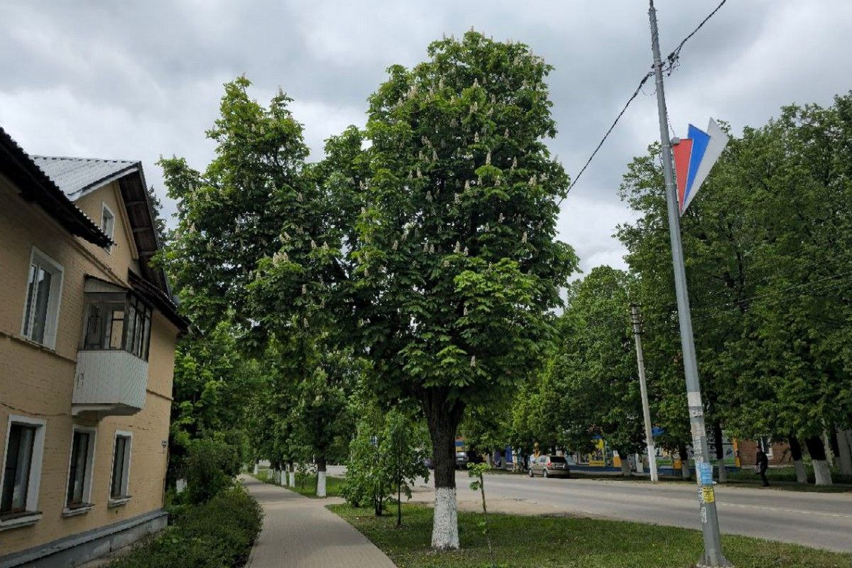 Завтра в Донском потеплеет до +19, есть вероятность небольшого дождя Завтра в Донском потеплеет до +19, есть вероятность небольшого дождя