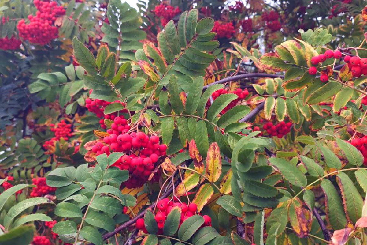 Завтра в Донском будет облачно Завтра в Донском будет облачно