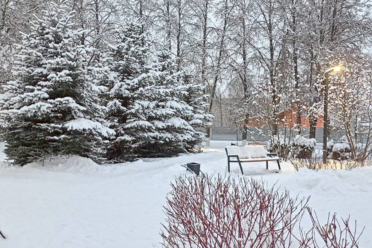 Завтра в Донском осадков не ожидается