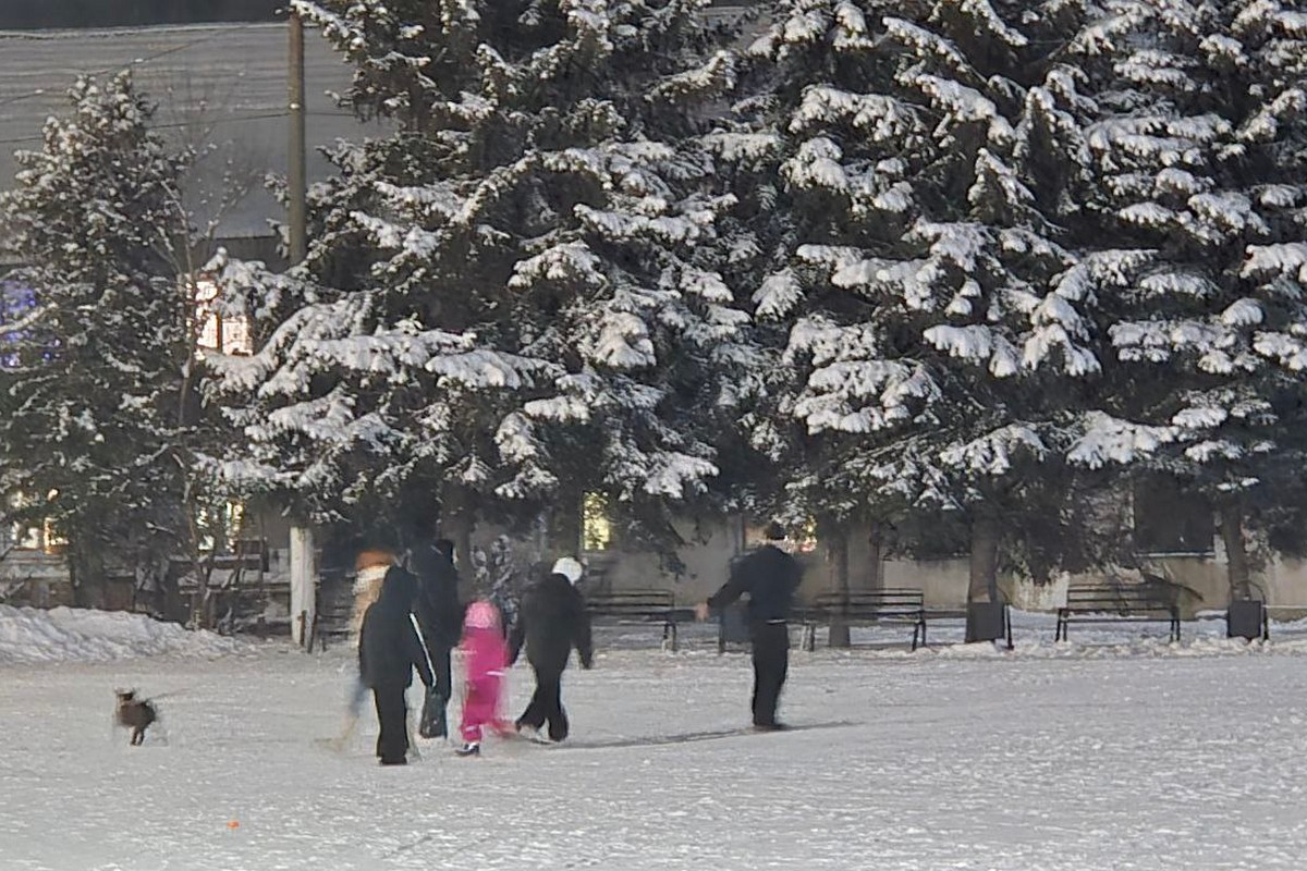 Завтра в Донском к вечеру пойдет снег Завтра в Донском к вечеру пойдет снег
