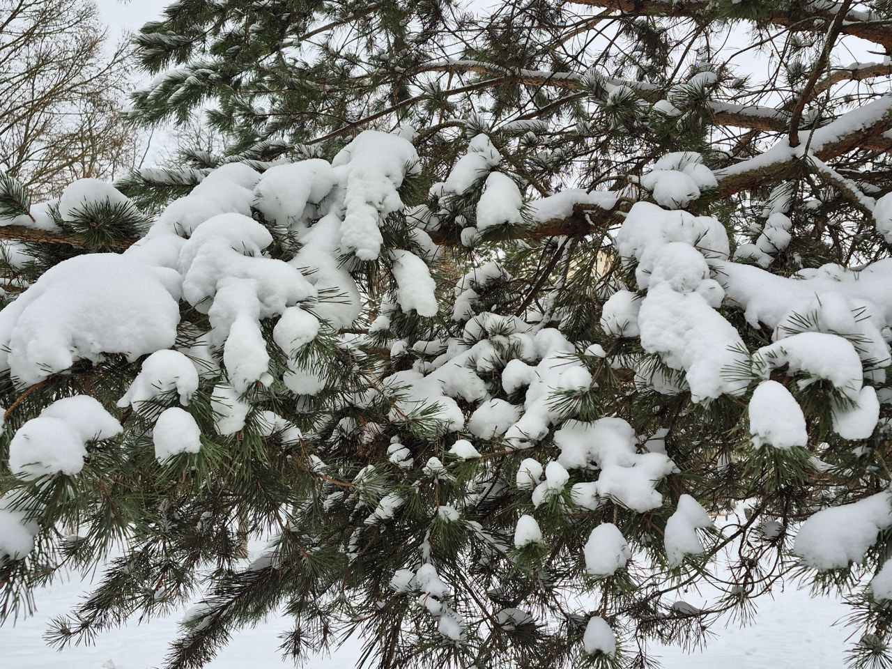 Завтра в Донском будет облачно и без осадков
