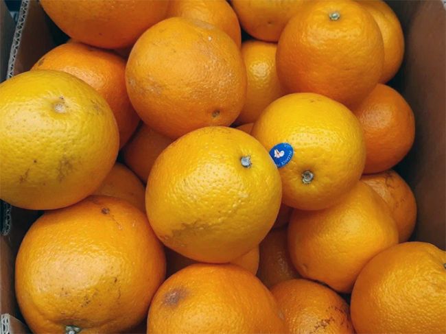 Диетолог Гинцбург: Апельсиновый сок ускоряет процесс старения