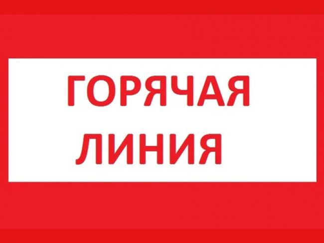 Дончане смогут задать вопросы сотрудникам «Роскадастра» во время «горячей линии»