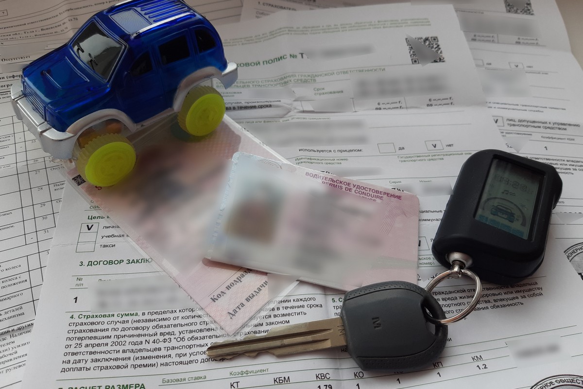 Дончане могут не тратить время на запись в МРЭО лично, достаточно смартфона