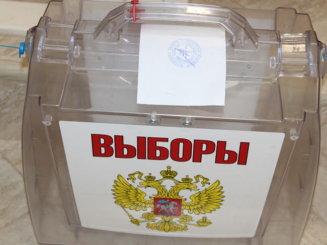 За выборами Президента России в Тульской области будут следить наблюдатели