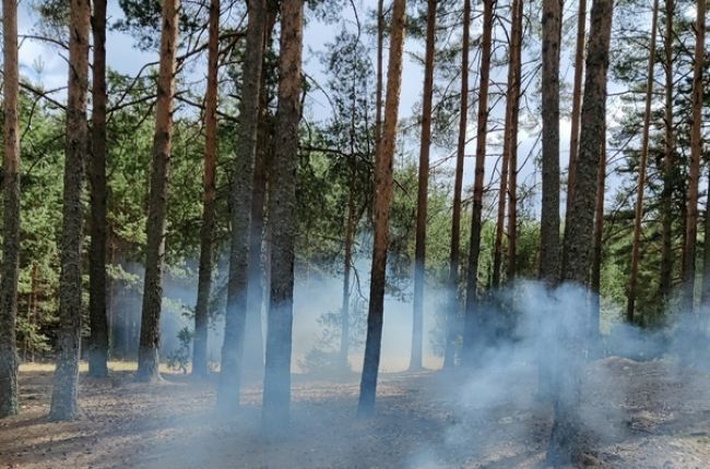 В Тульской области объявлен 4 класс пожарной опасности