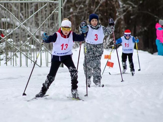 Алексин приглашает жителей региона поучаствовать в Рождественской лыжной гонке