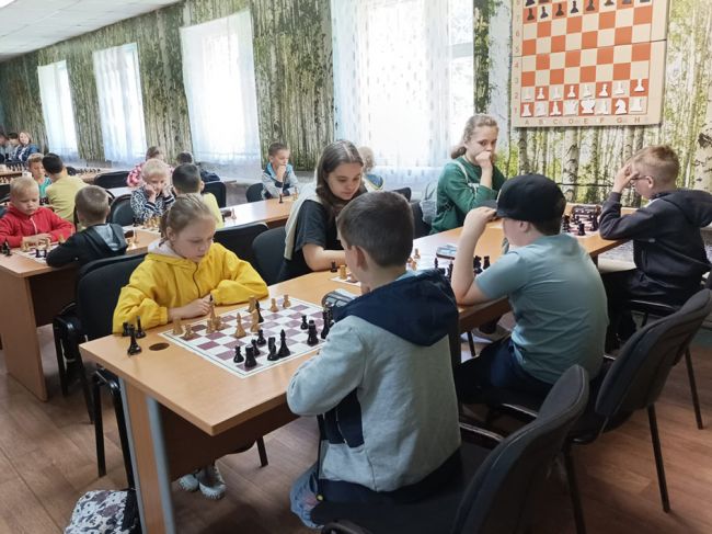 В Донском прошли шахматные баталии