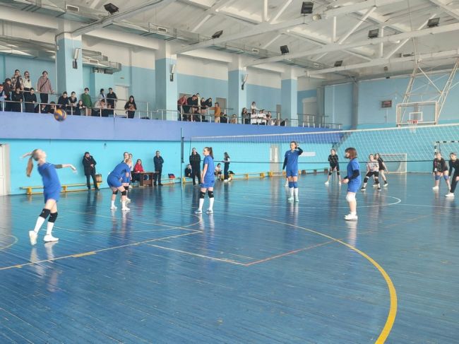 В Донском стартовал волейбольный турнир «Весна-2024»