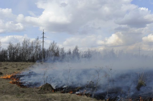 Электросетевой комплекс «Тулэнерго» готовится к прохождению пожароопасного периода Электросетевой комплекс «Тулэнерго» готовится к прохождению пожароопасного периода