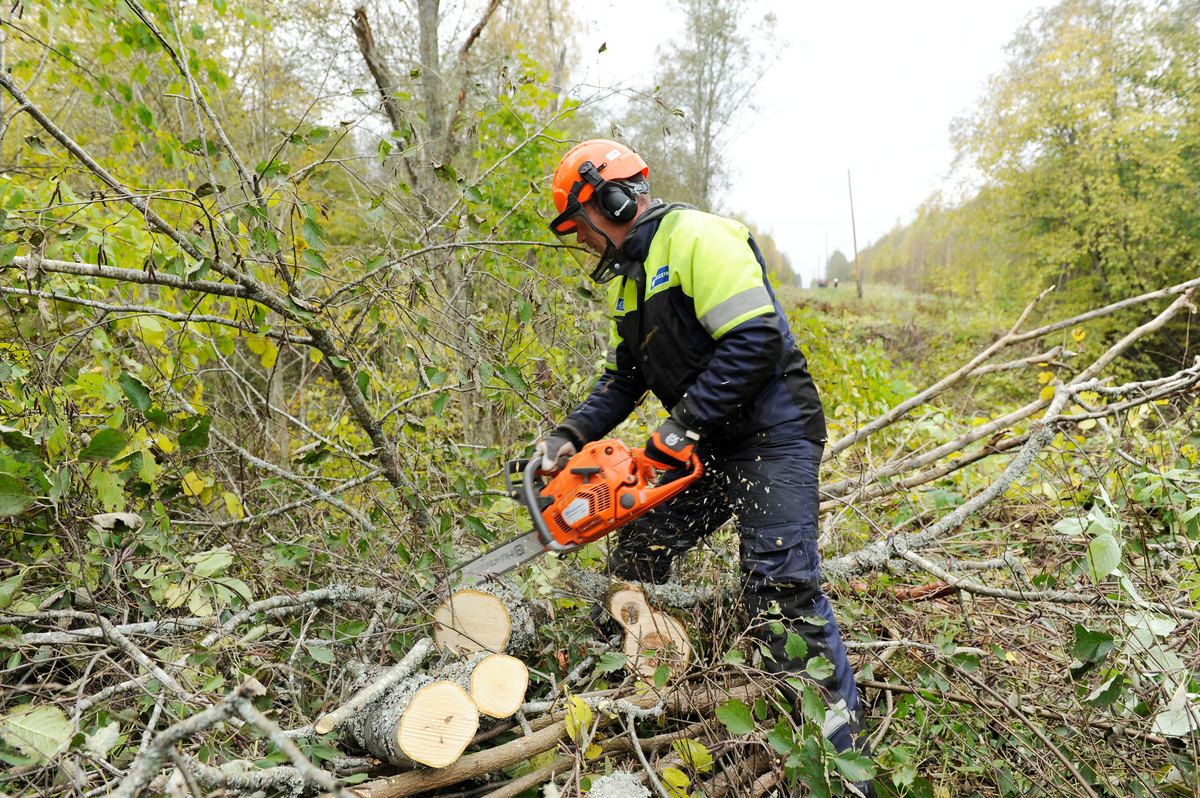 «Россети Центр и Приволжье» расчистили более 455 га трасс линий электропередачи в Тульской области «Россети Центр и Приволжье» расчистили более 455 га трасс линий электропередачи в Тульской области