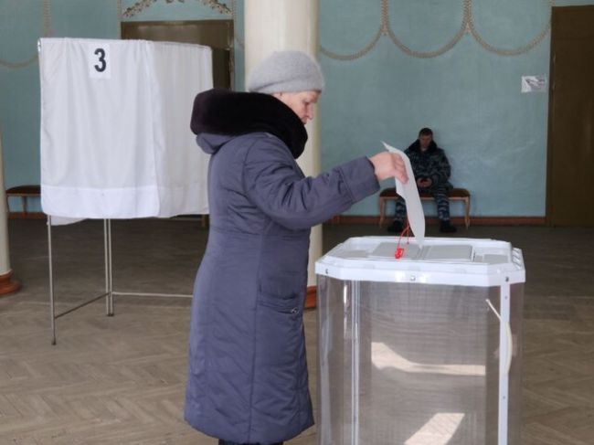 Стали известны показатели явки избирателей в Тульской области на 10.00 17 марта