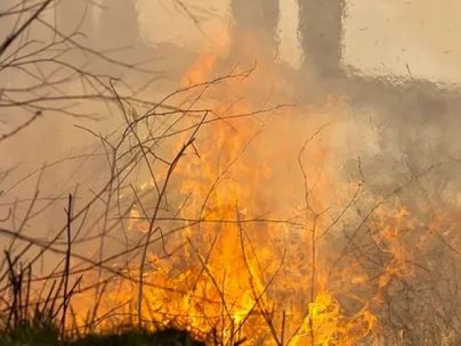 В Донском был зафиксирован пожар в многоквартирном доме